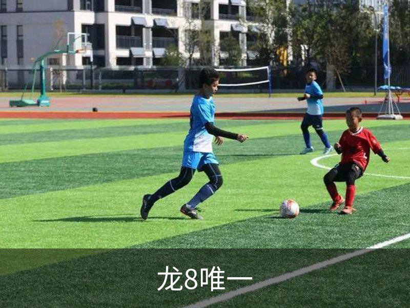 走进龙8唯一
